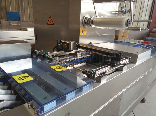 DLZ520系列自動(dòng)連續(xù)真空包裝機(jī)(圖2)